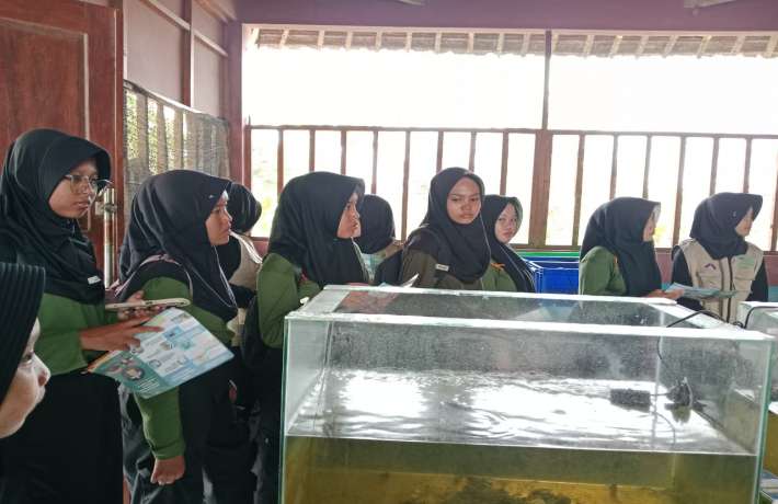 ​​​​​​​Siswa MAN 1 Kebumen Belajar Konservasi Penyu di Pantai Kaliratu